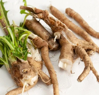 Chicory Root Inulin as used in the SodaTide formula